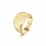 Anello Uomo Ink in Acciaio e Pvd Oro BIK32 - Brosway