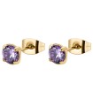 Orecchini Donna Desideri in acciaio Pvd oro con Swarovsky Amethyst BEIE009 - Brosway