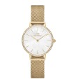 Orologio Petite Lumine Bezel Evergold Madreperla DW00100662 - Daniel Wellington