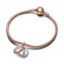 Charm Pendente Lucchetto "True Love" 783079C01 - Pandora