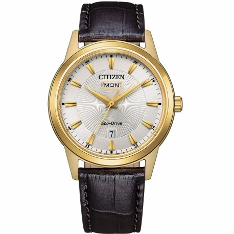 Orologio Uomo Solo Tempo Ecodrive Cassa Dorata AW0102-13A - Citizen