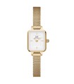 Orologio Donna Mini Evergold DW00100725 - Daniel Wellington