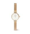 Orologio Donna Petite Mini Evergold  DW00100745 - Daniel Wellington